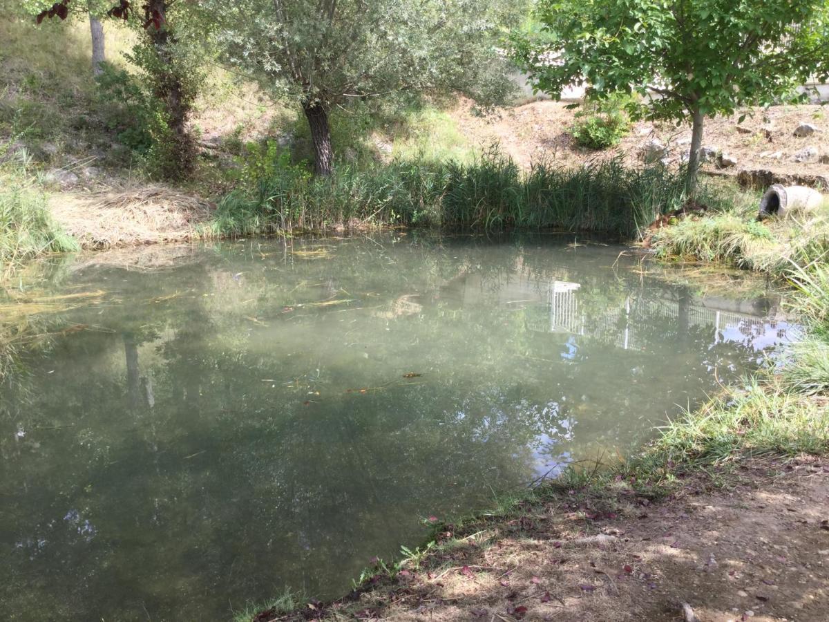 Mazet Tournesol Aux Portes Du Verdon Saint-Martin-de-Brômes エクステリア 写真